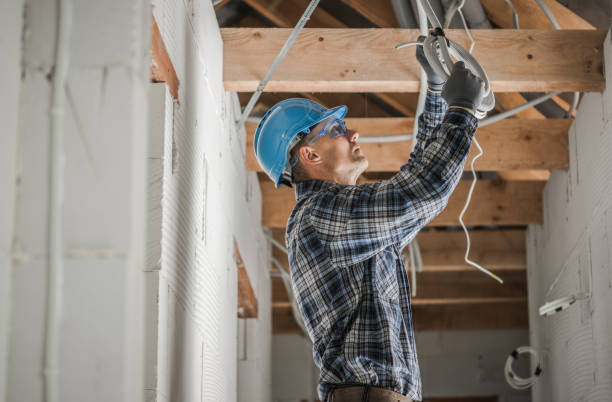 Best Electrician for Home Renovation  in Landrum, SC