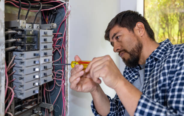Best Electrical System Inspection  in Landrum, SC
